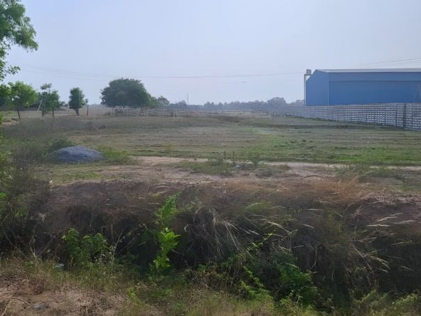 RIICO Plots Available